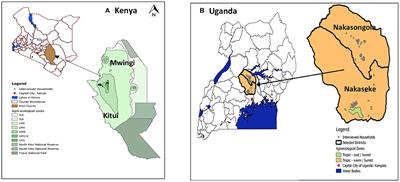 Gender and Generational Differences in Local Knowledge and Preference for Food Trees in Central Uganda and Eastern Kenya